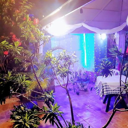 Hotel El Tronco Inc Бока-Чика Экстерьер фото